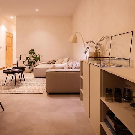 Appartement Met Tuin In Haarlem Centrum Bagian luar foto